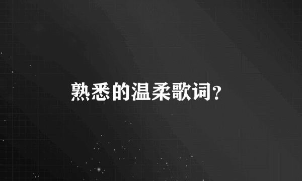 熟悉的温柔歌词？