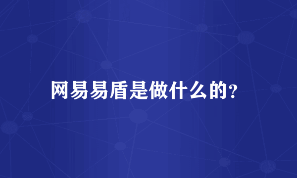 网易易盾是做什么的？