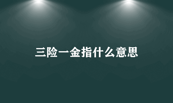 三险一金指什么意思