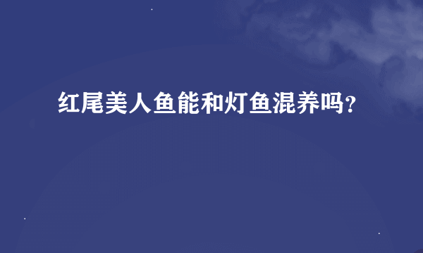 红尾美人鱼能和灯鱼混养吗？