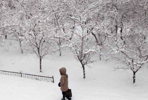 关于大雪节气的古诗？