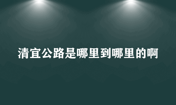 清宜公路是哪里到哪里的啊