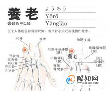 养老穴穴位位置图及作用