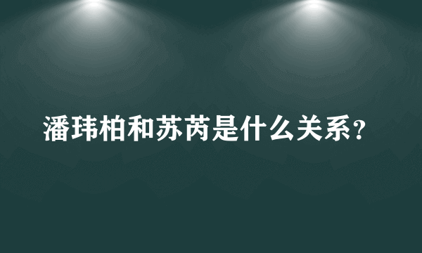 潘玮柏和苏芮是什么关系？