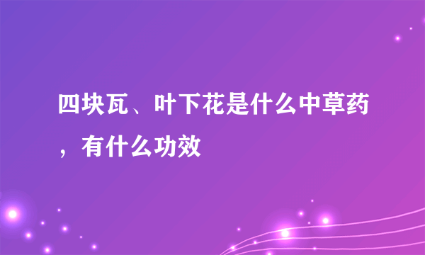 四块瓦、叶下花是什么中草药，有什么功效