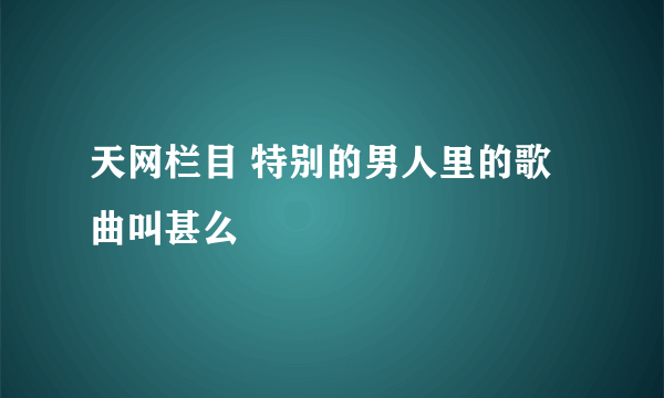 天网栏目 特别的男人里的歌曲叫甚么