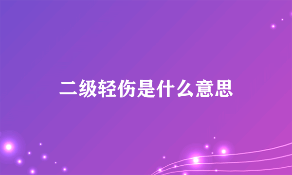 二级轻伤是什么意思