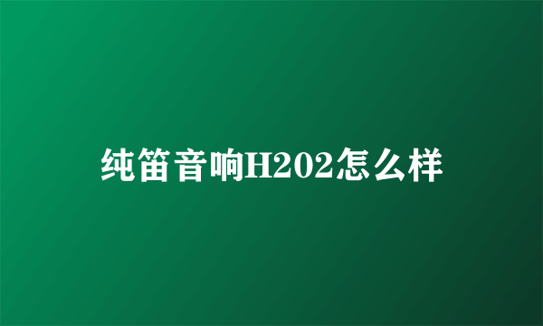 纯笛音响H202怎么样