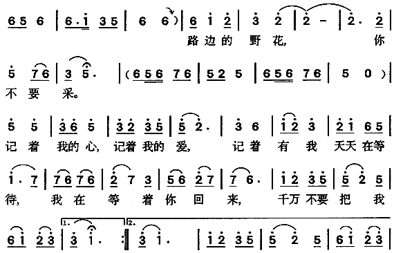 东北二人转《路边的野花不要采》的全部歌词。