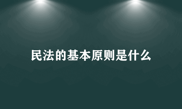 民法的基本原则是什么