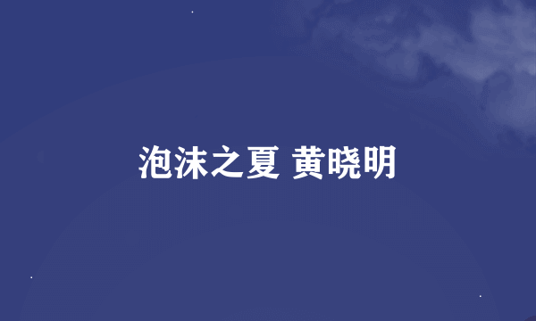 泡沫之夏 黄晓明