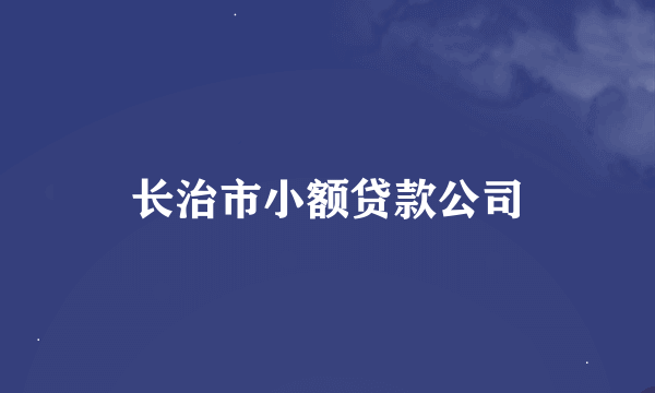 长治市小额贷款公司