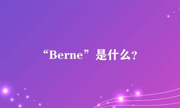 “Berne”是什么？