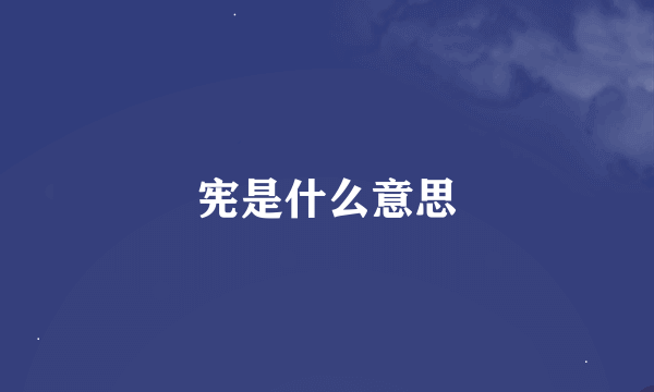 宪是什么意思