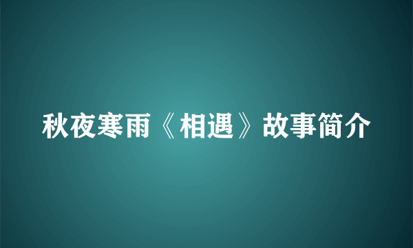 秋夜寒雨《相遇》故事简介