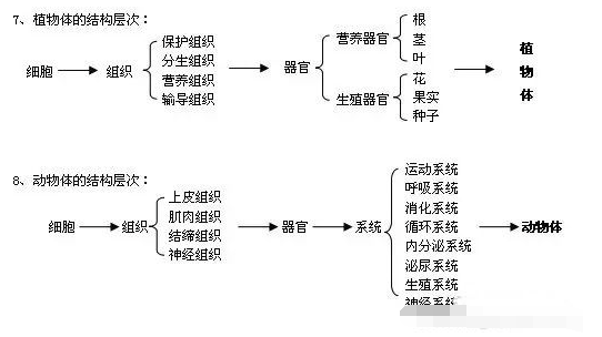 宣传提纲的格式是什么？