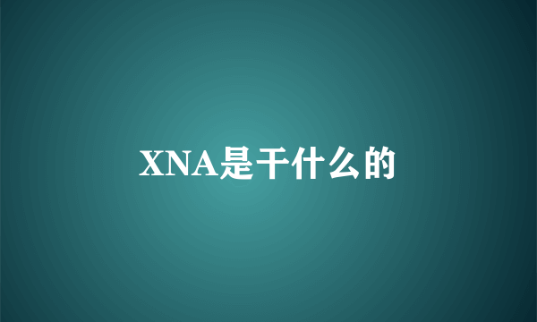 XNA是干什么的