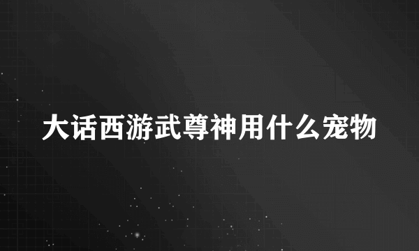 大话西游武尊神用什么宠物