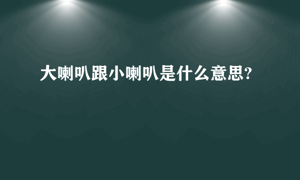 大喇叭跟小喇叭是什么意思?