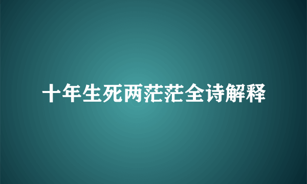 十年生死两茫茫全诗解释