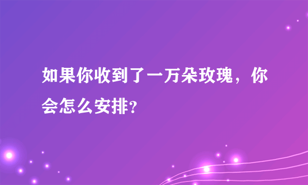 如果你收到了一万朵玫瑰，你会怎么安排？