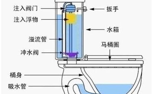 马桶结构图？