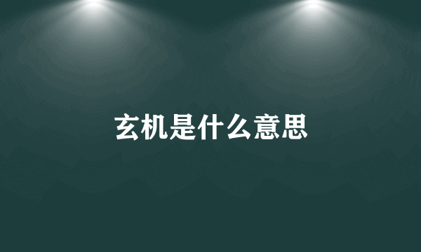 玄机是什么意思