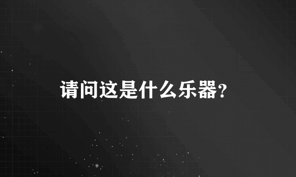 请问这是什么乐器？