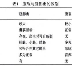 yy小说吧的名词解析