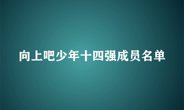 向上吧少年十四强成员名单