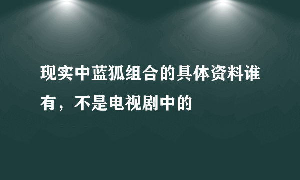 现实中蓝狐组合的具体资料谁有，不是电视剧中的