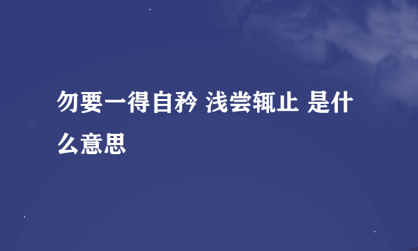 勿要一得自矜 浅尝辄止 是什么意思