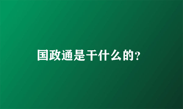 国政通是干什么的？