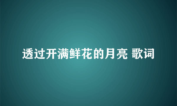 透过开满鲜花的月亮 歌词