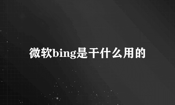 微软bing是干什么用的