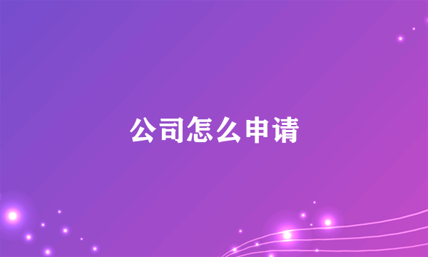 公司怎么申请