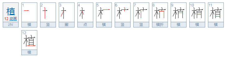 植的拼音是