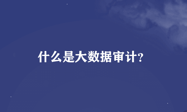 什么是大数据审计？