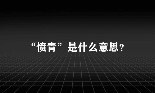 “愤青”是什么意思？