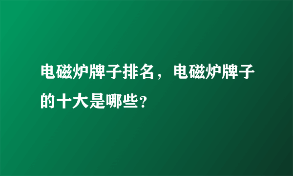 电磁炉牌子排名，电磁炉牌子的十大是哪些？