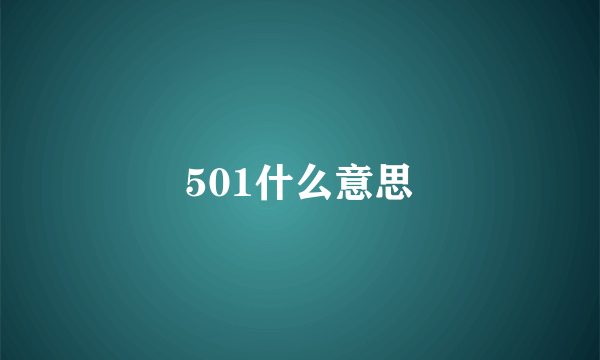 501什么意思