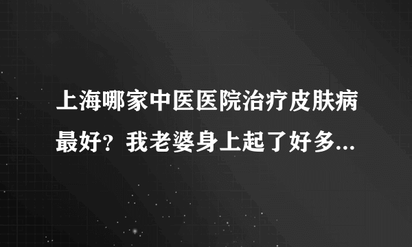 上海哪家中医医院治疗皮肤病最好？我老婆身上起了好多小疙瘩久治不愈。