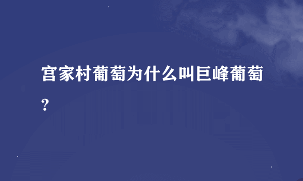 宫家村葡萄为什么叫巨峰葡萄？