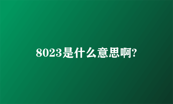 8023是什么意思啊?