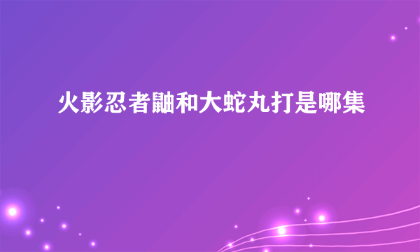 火影忍者鼬和大蛇丸打是哪集