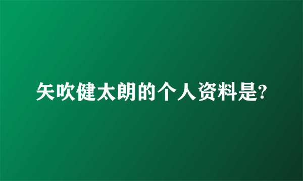 矢吹健太朗的个人资料是?