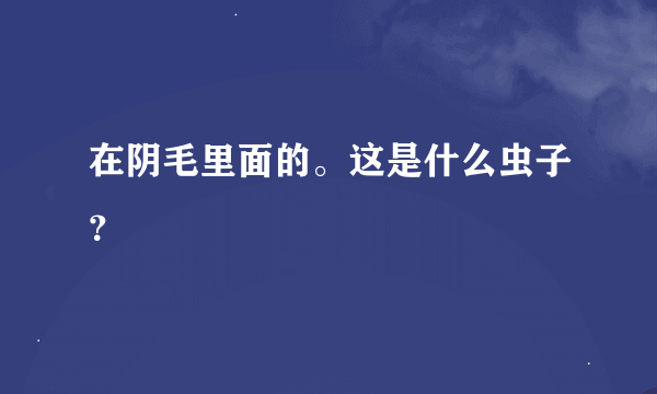 在阴毛里面的。这是什么虫子？