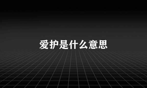 爱护是什么意思