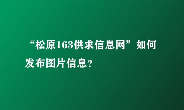 “松原163供求信息网”如何发布图片信息？