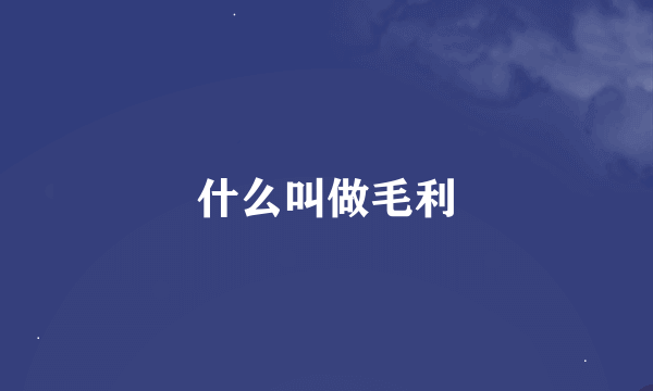 什么叫做毛利